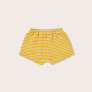 Daffodil Stripe Shorties