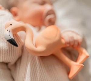 Lingo The Flamingo Teether