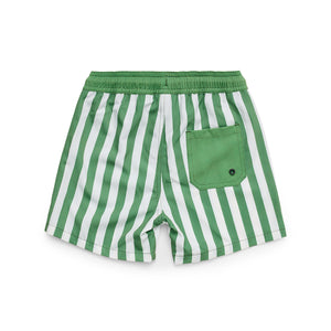 Board Short (Coastal Stripe)