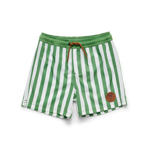 Board Short (Coastal Stripe)