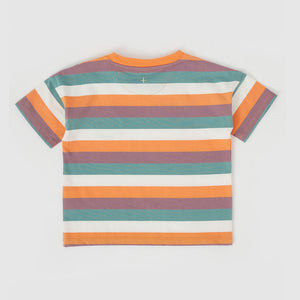 Dino Valley Stripe T-Shirt