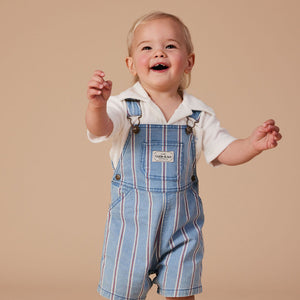 Burton Classic Stripe Denim Overalls