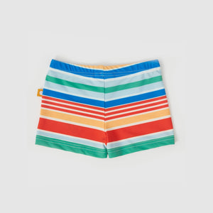 Bold Stripe Swim Shorties