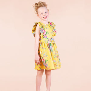 Beatrice Peter Pan Dress