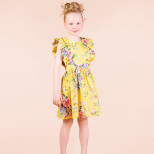 Beatrice Peter Pan Dress