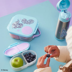 Snack Box (Frozen S3)