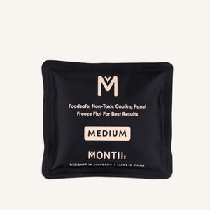 Ice Pack- Medium