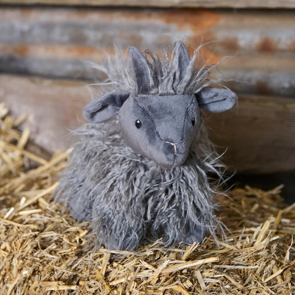 Aiden The Angora Goat