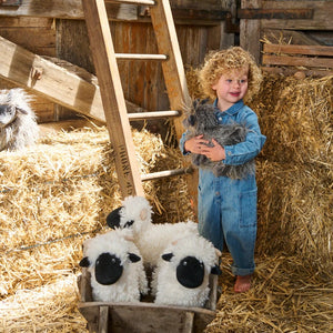 Aiden The Angora Goat