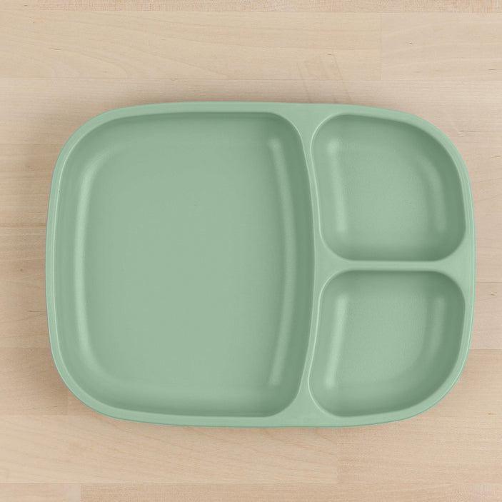 Divided Tray  (Sage)