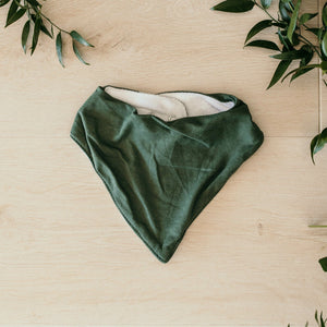 Olive Dribble Bib