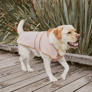 Ruff Jacket (Dusty Pink)