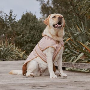 Ruff Jacket (Dusty Pink)